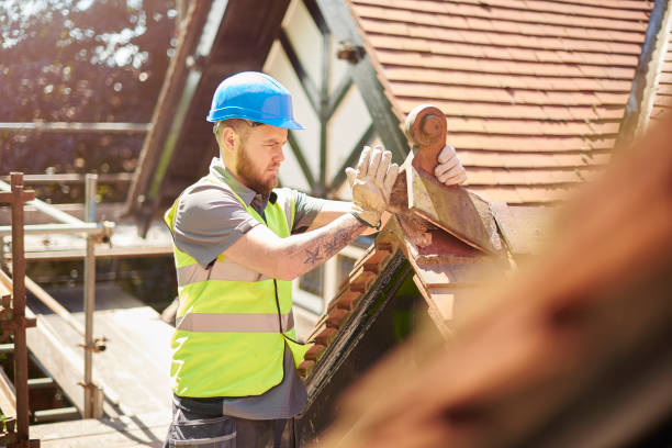 Best Roof Restoration Services  in Rockford, MI