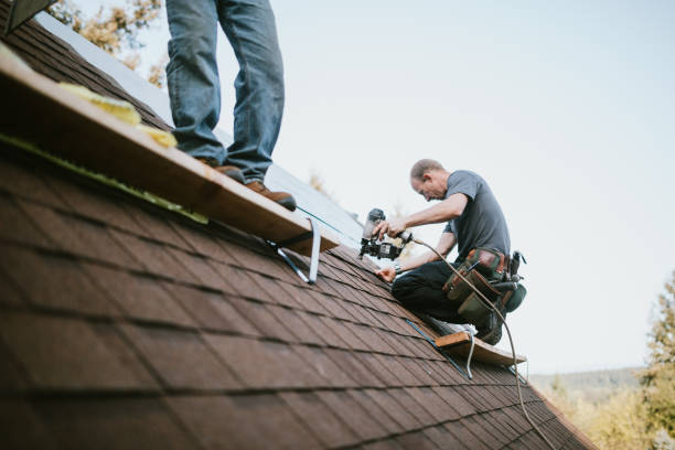 Best Residential Roofing Contractor  in Rockford, MI